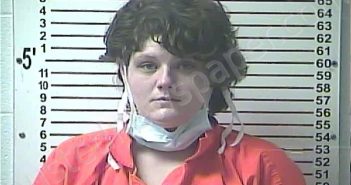 SMIDDY, BRETTA PAIGE | 2020-12-30 10:29:00 Hardin County, Kentucky Booking