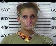 JESSICA PHILLIPS | 2020-12-30 05:53:00 Gibson County, Tennessee Booking