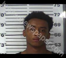 ROLAND ADKISSON #, Gibson County, Tennessee - 2020-12-30 17:14:00