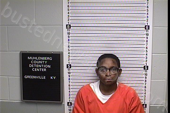 MITCHELL, HEATHER LASHA #, Muhlenberg County, Kentucky - 2020-12-30