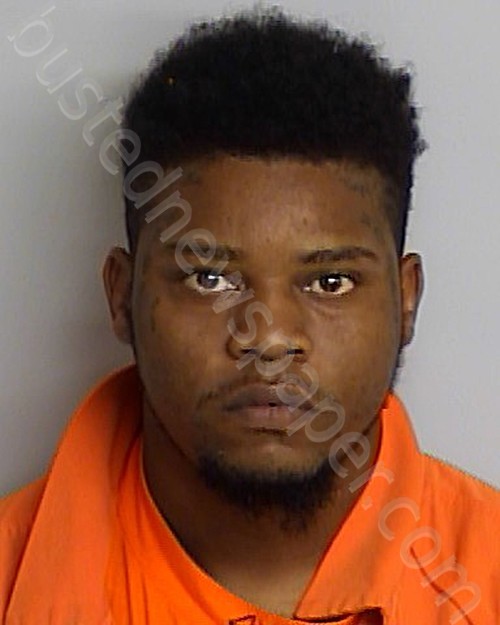 WILLIAMS, GREGORY PAUL #, Bradford County, Florida - 2020-12-30 17:33:00