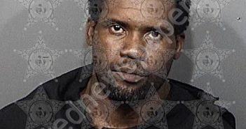 <B>RAINS</B>, <B>TROMAINE</B> <B>LAMONT</B> #, Brevard County, Florida - 2020-12-30 23:00:00