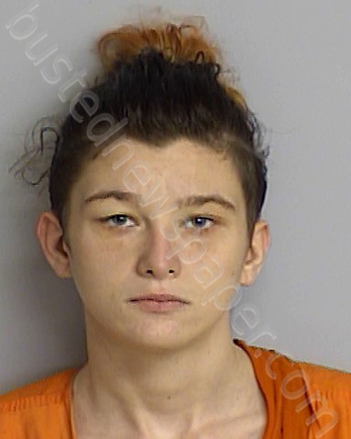 FORD, JESSICA KAY #, Bradford County, Florida - 2020-12-30 16:04:00