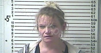 WALDRON, KRISTELLE ELAINE | 2020-12-31 03:13:00 Hardin County, Kentucky Booking