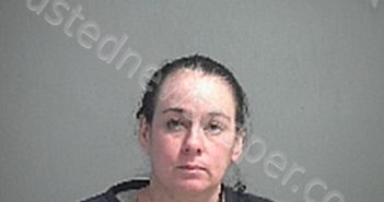 ELLINGER MELINDA SUE | 2020-12-31 Sandusky County, Ohio Booking
