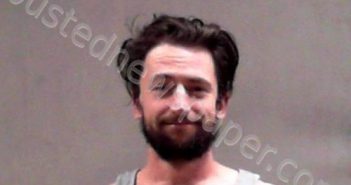 SINKINSON, ANDREW HARRISON | 2020-12-31 23:45:00 Marshall County, West Virginia Booking
