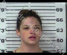 WHITNEY CLARK | 2020-12-31 10:54:00 Gibson County, Tennessee Booking