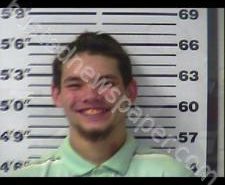 DUSTIN DAVIS | 2020-12-31 18:58:00 Gibson County, Tennessee Booking