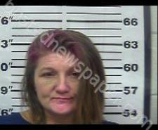 STEPHANIE BOLIN | 2021-01-01 15:37:00 Gibson County, Tennessee Booking