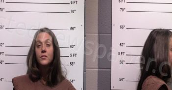 MEINERS, SHANNON LYNN | 2021-01-01 Gillespie County, Texas Booking