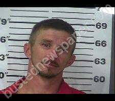 CHRISTOPHER WELLS #, Gibson County, Tennessee - 2021-01-01 17:16:00