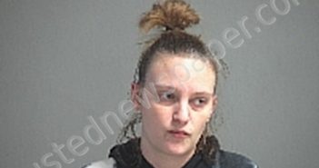 MCAFEE HEATHER J | 2021-01-01 Sandusky County, Ohio Booking