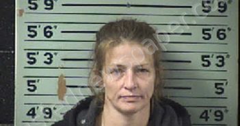FISHER, IVY MIRANDA | 2021-01-01 23:28:00 Transylvania County, North Carolina Booking