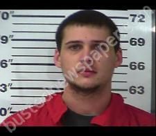 COLTON TRIMMER #, Gibson County, Tennessee - 2021-01-01 18:20:00