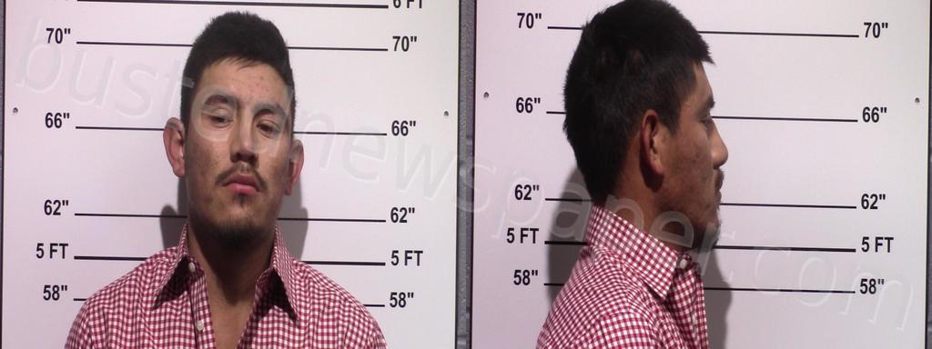 SEGURA QUINTERO, JORGE IGNACIO #, Gillespie County, Texas - 2021-01-01