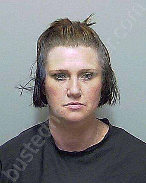 TIPPETT, RHONDA MICHELLE #, Putnam County, Florida - 2021-01-01 21:24:00