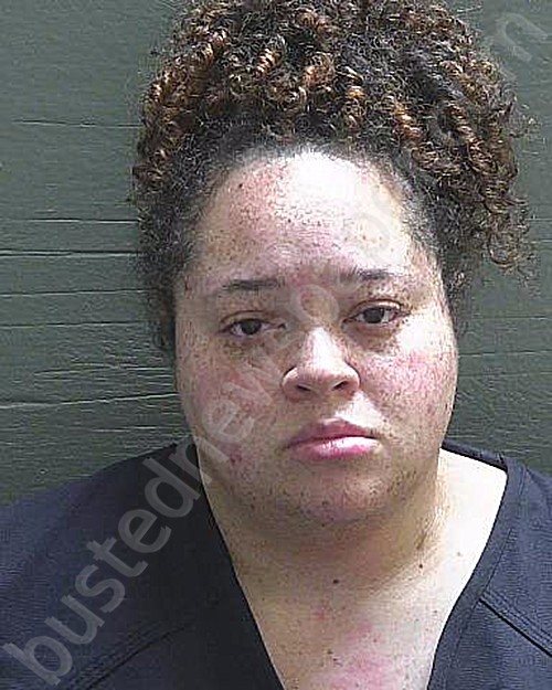 ARMOUR, FELICIA ANN #, Escambia County, Florida - 2021-01-02 12:41:00