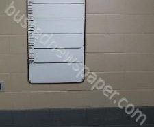 DONNA HAMBY | 2021-01-02 22:22:00 Morgan County, Tennessee Booking