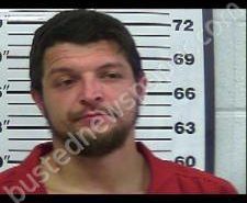 GARY PICKARD | 2021-01-03 16:56:00 Gibson County, Tennessee Booking