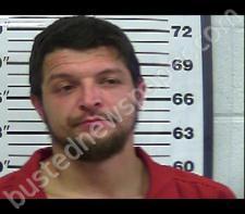 GARY PICKARD #, Gibson County, Tennessee - 2021-01-03 16:56:00
