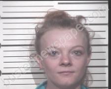 HAYLEE <B>LANE</B> #, <b>Henry</b> County, Tennessee, Henry County, Tennessee - 2021-01-03 22:19:00