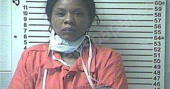 DAVIS, TONYA EVETTE | 2021-01-03 04:31:00 Hardin County, Kentucky Booking