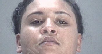 FLUCKES, JUANITA ROSE | 2021-01-04 23:18:00 Pasco County, Florida Booking