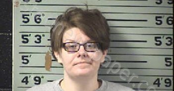LESLIE, CASSIE LAJEAN | 2021-01-04 11:10:00 Transylvania County, North Carolina Booking