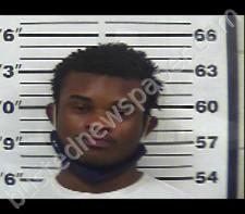 JAHEIM WARLICK #, Gibson County, Tennessee - 2021-01-04 19:13:00