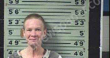 RAINES, MARIA ANN | 2021-01-05 23:53:00 Transylvania County, North Carolina Booking