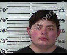 JACOB EAVES | 2021-01-05 20:05:00 Gibson County, Tennessee Booking