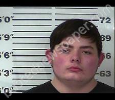 JACOB EAVES #, Gibson County, Tennessee - 2021-01-05 20:05:00