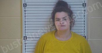 NETHERLAND, SHELBY MARIE | 2021-01-05 13:46:00 Taylor County, Kentucky Booking