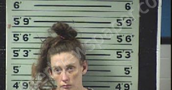 MCCALL, DOROTHY ELAINE | 2021-01-05 22:06:00 Transylvania County, North Carolina Booking