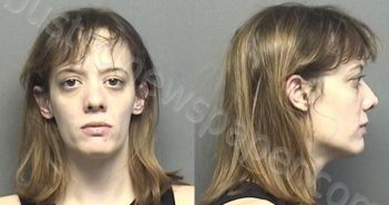 CONNELL,PAIGE ASHLEY | 2021-01-06 03:30:00 Saline County, Kansas Booking