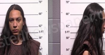 GARCIA, MANUEL | 2021-01-07 Gillespie County, Texas Booking