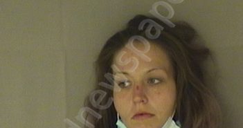 RADER, ALAINA MARIE | 2021-01-07 11:30:00 Wood County, West Virginia Booking