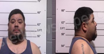 MARTINEZ, ELIEZER | 2021-01-08 Gillespie County, Texas Booking