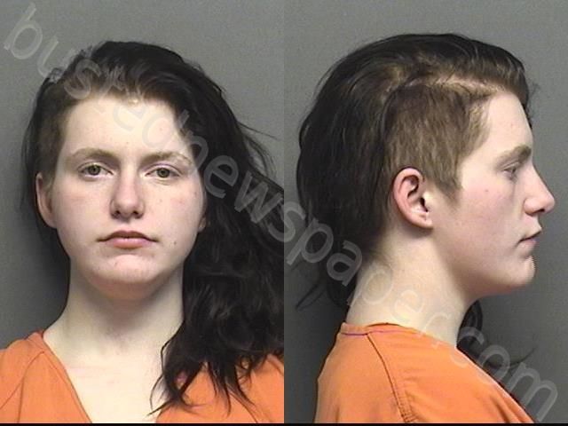 NUNNALLY,LACEY MARIE #, Saline County, Kansas - 2021-01-08 19:30:00