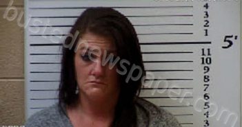SILVER, TARA CAMILLA | 2021-01-08 13:34:00 Cherokee County, North Carolina Booking