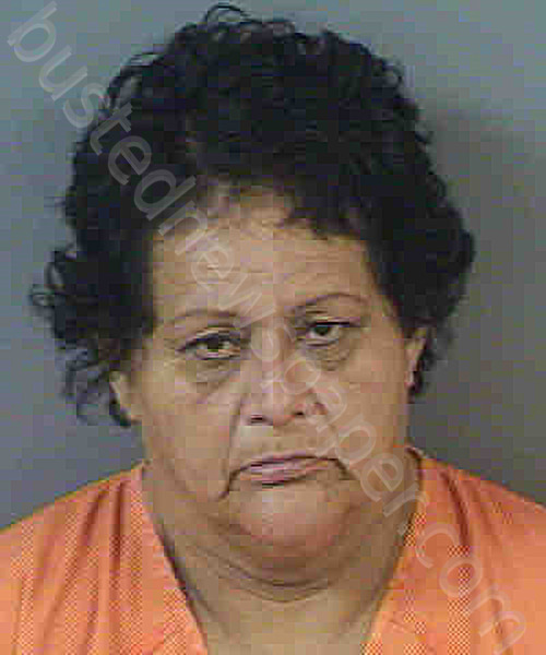 FRIAZVAZQUEZ,FREDONNA JEAN #, Collier County, Florida - 2021-01-08