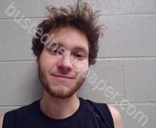 CALEB FERNANDEZ | 2021-01-08 23:46:00 Lincoln County, Tennessee Booking
