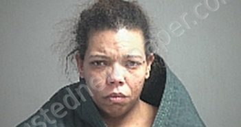 GRAY REBECCA L | 2021-01-09 Sandusky County, Ohio Booking