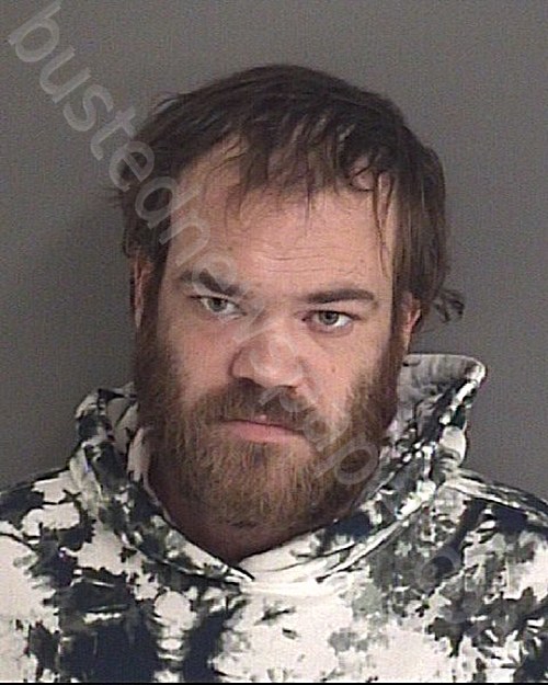 RINNE, BRANDON BEAU #, Story County, Iowa - 2021-01-09