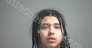 FIERRO JUAN DANIEL | 2021-01-09 Sandusky County, Ohio Booking