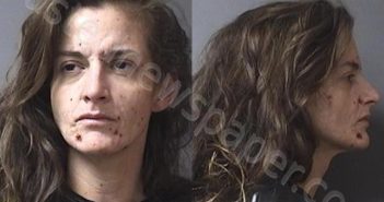 <B>SMITH</B>, <B>SAMANTHA</B> <B>NICHOLE</B> #, Madison County, Indiana - 2021-01-10 17:41:00