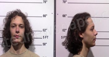 JOSEPHSON, TRISTAN | 2021-01-10 Gillespie County, Texas Booking