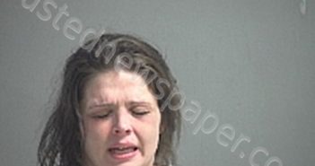 HENRY KRISTINA M | 2021-01-11 Sandusky County, Ohio Booking