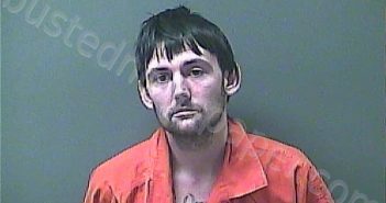 WADE, MICHAEL JOE | 2021-01-11 05:06:00 Laporte County, Indiana, La Porte County, Indiana Booking
