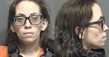 DENISTON,JOANNA LYNN | 2021-01-12 11:05:00 Saline County, Kansas Booking